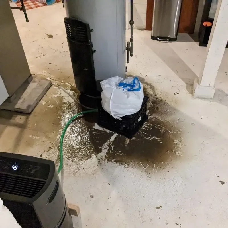 Sewage Backup Cleanup Service in Woodbine, NJ